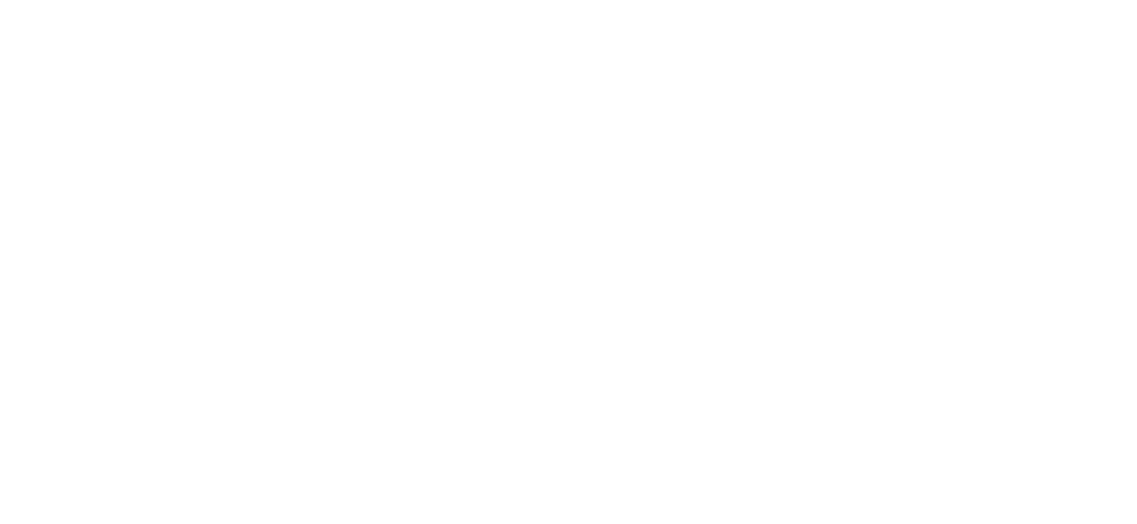 Ausvision : Australian Digital Media.